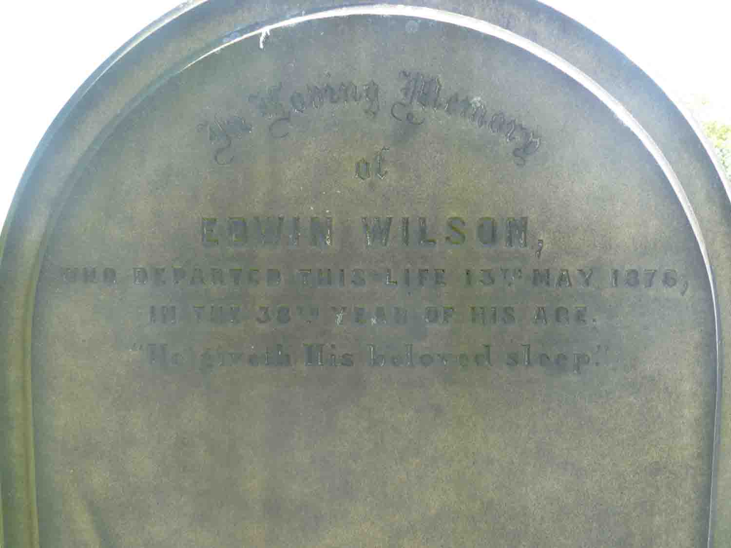 Wilson, Edwin (B 795) (1)